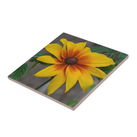 Keramik Fliese (Seite)