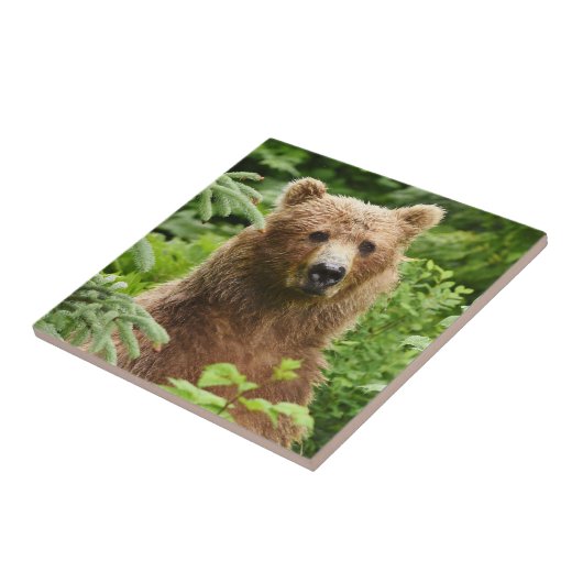 Keramik Fliese (Seite)