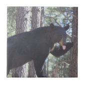 Keramik Fliese (Vorderseite)