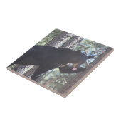 Keramik Fliese (Seite)