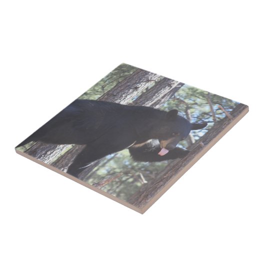 Keramik Fliese (Seite)