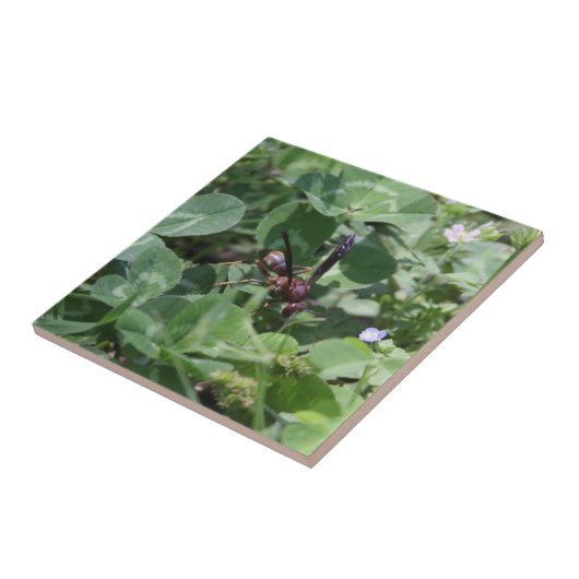 Keramik Fliese (Seite)