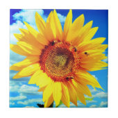 Keramik Fliese (Vorderseite)