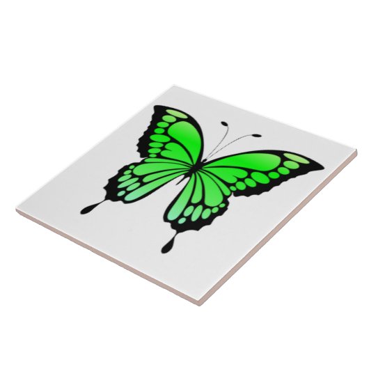 Keramik Fliese (Seite)