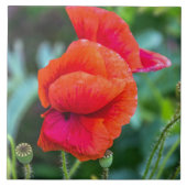 Keramik Fliese (Vorderseite)