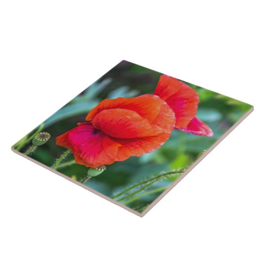 Keramik Fliese (Seite)