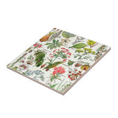 Keramik Fliese (Seite)