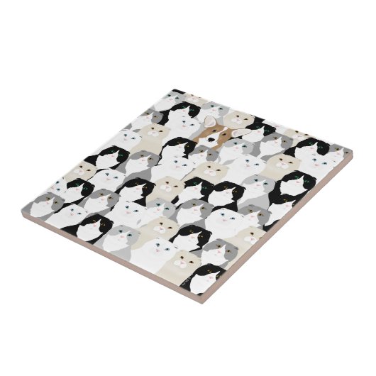 Keramik Fliese (Seite)