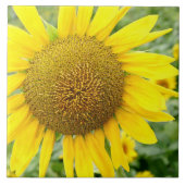 Keramik Fliese (Vorderseite)