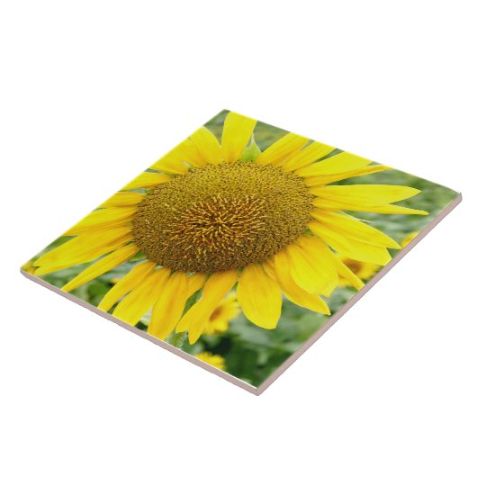 Keramik Fliese (Seite)