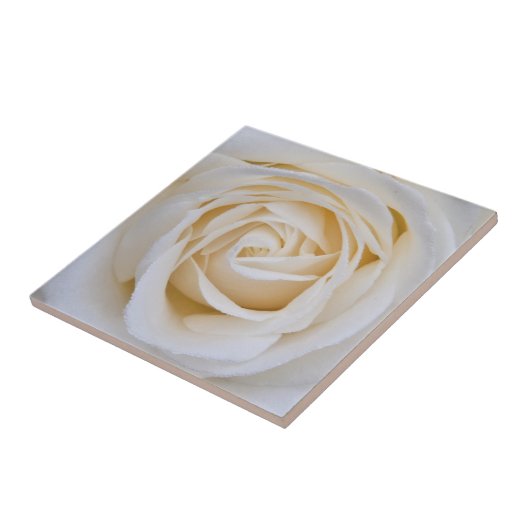 Keramik Fliese (Seite)