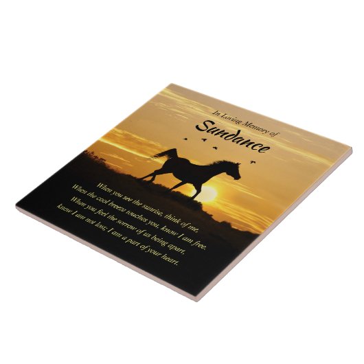 Keramik Fliese (Seite)