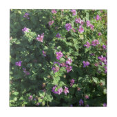 Keramik-Fliese (4,25" x 4,25") Fliese (Vorderseite)