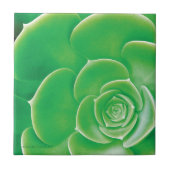 Keramik-Fliese - blühender grüner Succulent Fliese (Vorderseite)