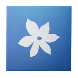 Keramik-Fliese Fliese