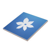 Keramik-Fliese Fliese (Seite)