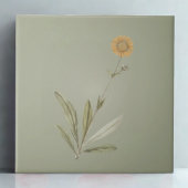 Keramik-Fliesen für weiche Sonnenblumen Fliese