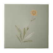 Keramik-Fliesen für weiche Sonnenblumen Fliese (Vorderseite)