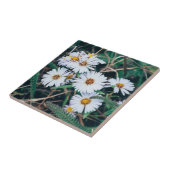 Keramik-Foto-Fliese der Küste-Gänseblümchen-| Fliese (Seite)