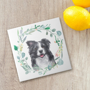 Keramik für Border Collie Dog Wasserfarben Fliese