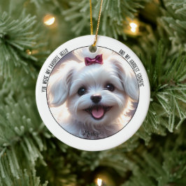 Keramik für die Haustiere Ornament