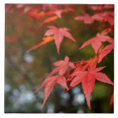 Keramik für Herbst Fliese (Vorderseite)