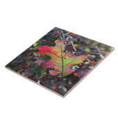 Keramik für Herbst Fliese (Seite)