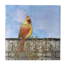 Keramik für weibliche Kardinäle