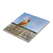 Keramik für weibliche Kardinäle Fliese (Seite)