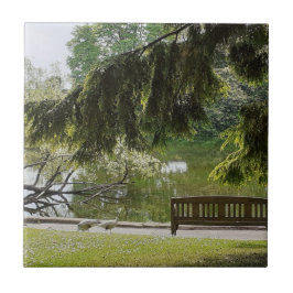 Keramik für Zierente Fliese