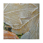 Keramik gefroren fliese (Vorderseite)