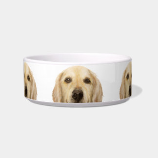 Keramik Haustier Bowl/ Golden Retrique Napf