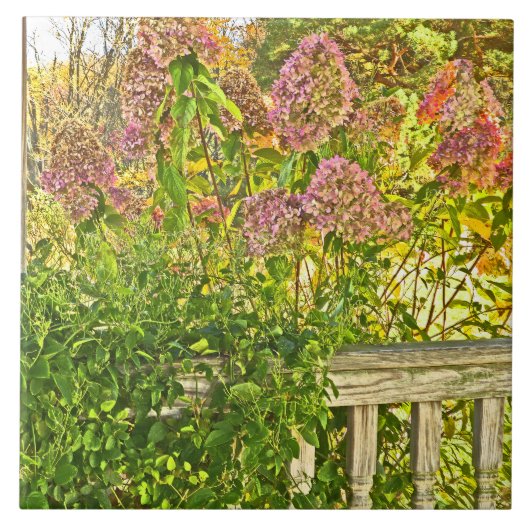 Keramik /"HYDRANGEAS AT HOLZZENZ" Fliese (Vorderseite)