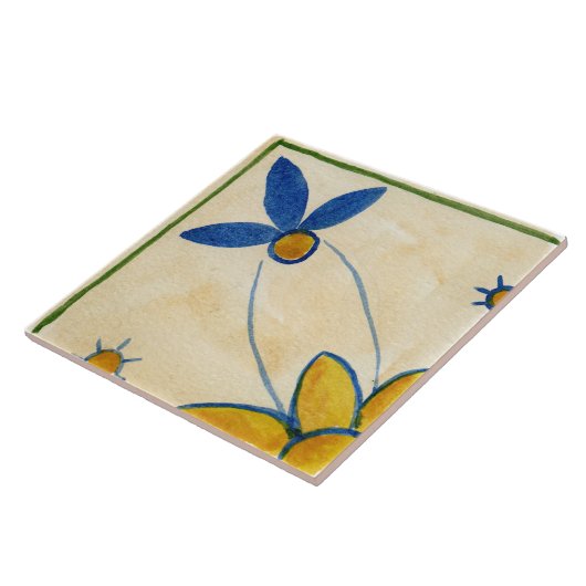 Keramik im großen Viertel mit sizilianischem Stil  Fliese (Seite)