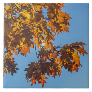 Keramik im Herbst Fliese