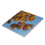 Keramik im Herbst Fliese (Seite)