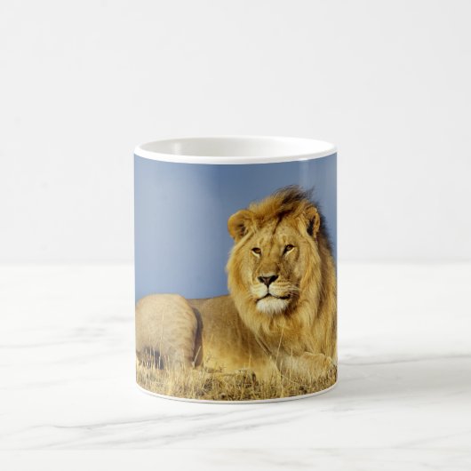 Keramik Kaffee Tasse Lion (Mittel)