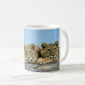 Keramik Kaffee Tasse Lion Cubs (VorderseiteRechts)
