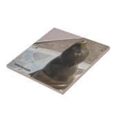 KERAMIK KATALINA FLIESE (Seite)