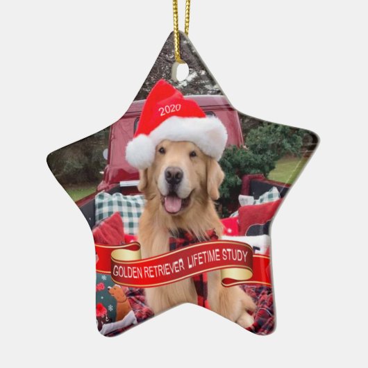 Keramik Keramik Ornament (Links)