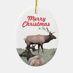 Keramik Keramik Ornament