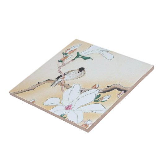 Keramik, klein (4,25" x 4,25") fliese (Seite)