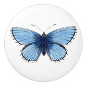 Keramik Knob - Blauer Schmetterling Keramikknauf (Vorderseite)