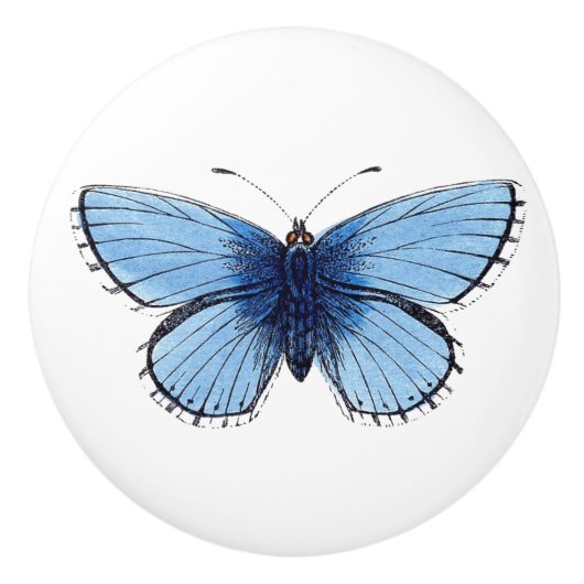 Keramik Knob - Blauer Schmetterling Keramikknauf (Vorderseite)