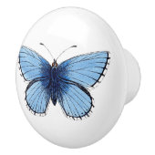 Keramik Knob - Blauer Schmetterling Keramikknauf (Rechts)