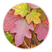 KERAMIK KNOBS/CUSTOM/LAYER VON HERBSTLAUBEN/PINK,J KERAMIKKNAUF (Vorderseite)