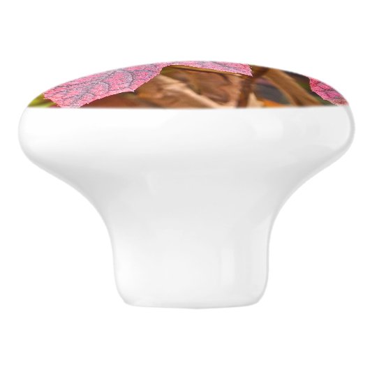 KERAMIK KNOBS/CUSTOM/LAYER VON HERBSTLAUBEN/PINK,J KERAMIKKNAUF (Seitenansicht)