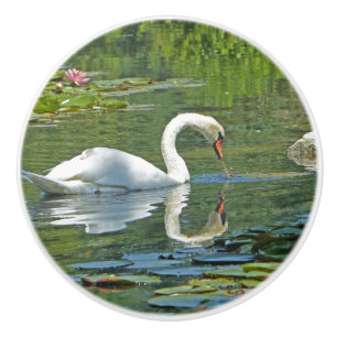 Keramik Knöpfe, "SWAN ON LILY POND" Keramikknauf