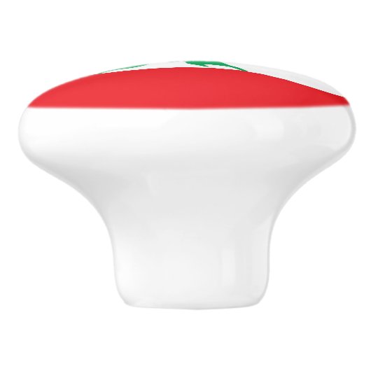 Keramik knöpfen mit Flagge des Libanon Keramikknauf (Seitenansicht)