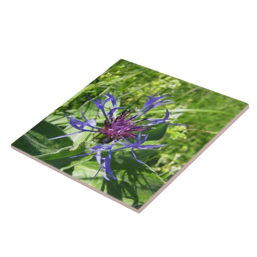 Keramik Mauerdekoration, blaue Blume Fliese (Seite)